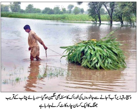 Gandhi Floods_Pic-1